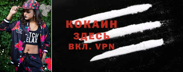 ешки Алексин