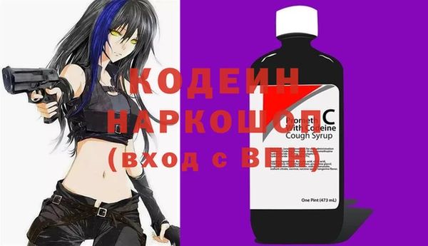 прущие грибы Алзамай