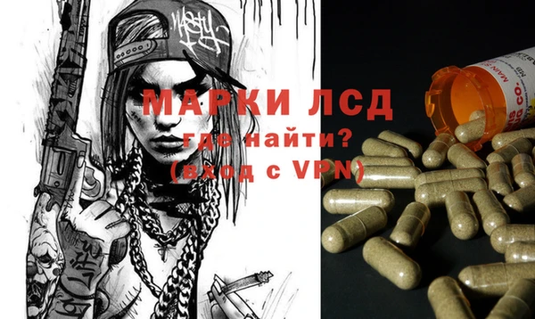прущие грибы Алзамай