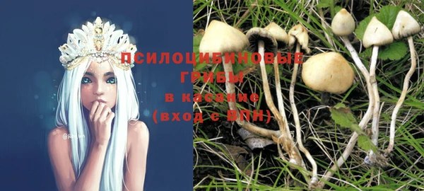 прущие грибы Алзамай