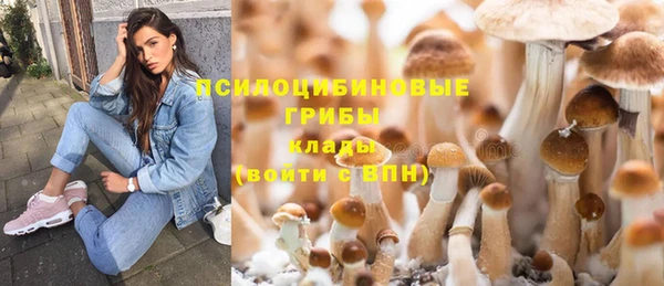ешки Алексин