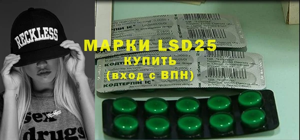 прущие грибы Алзамай